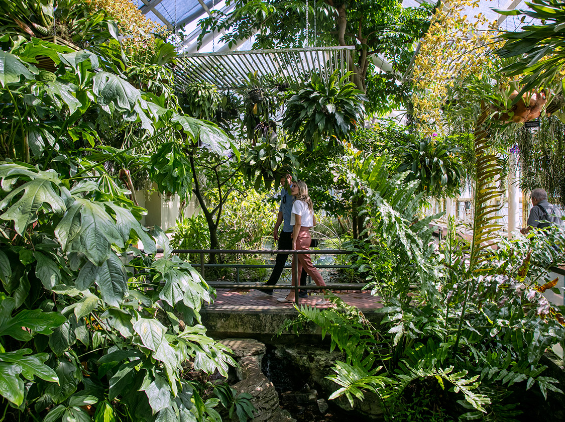 condo near brooklyn botanic garden tropical pavilion